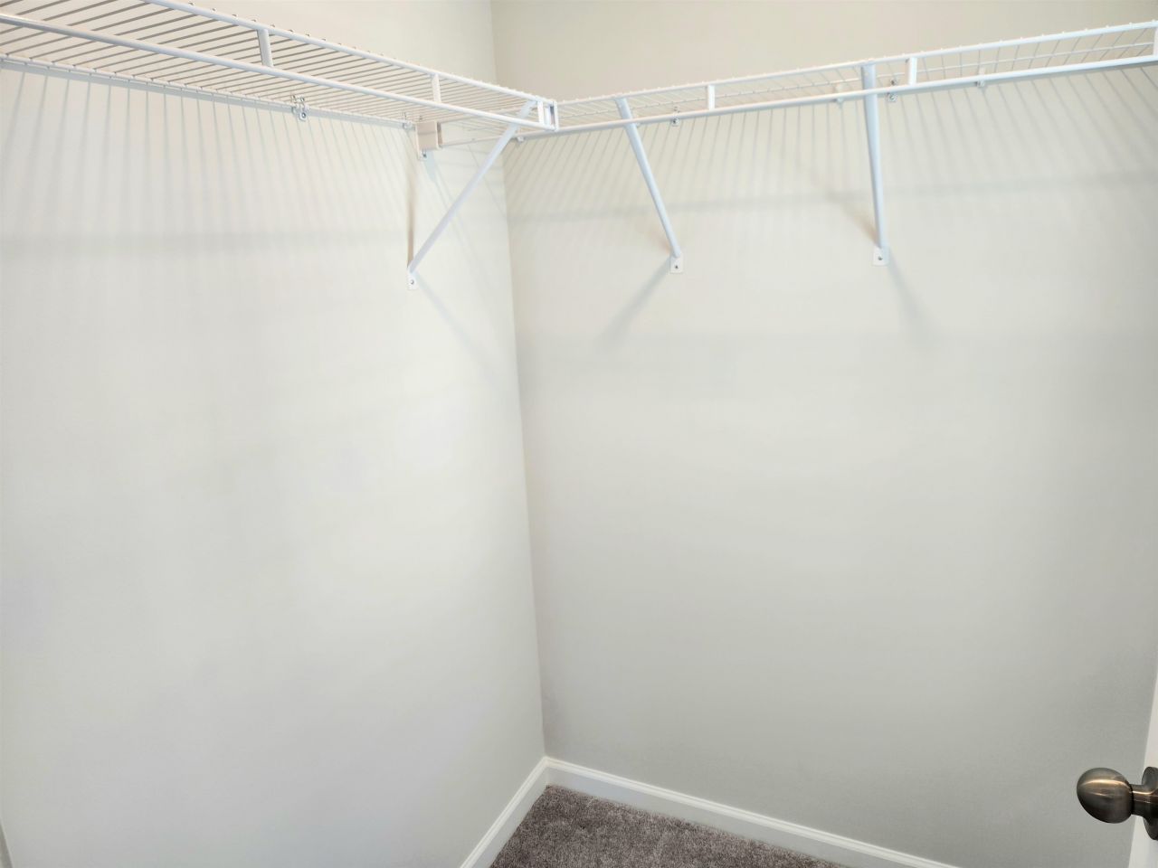 5788 Whitebark Dr. Photo 58