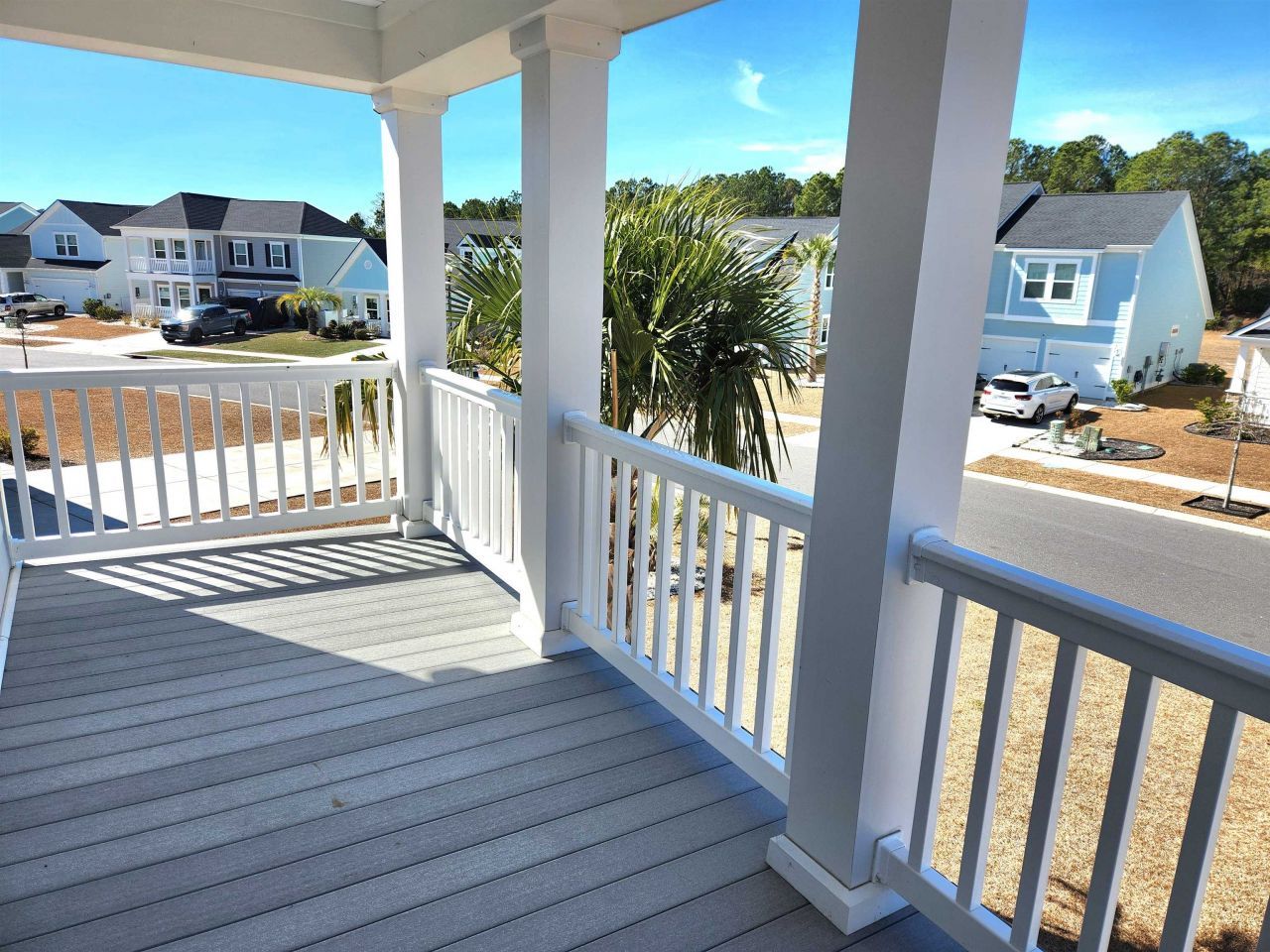 5788 Whitebark Dr. Photo 60