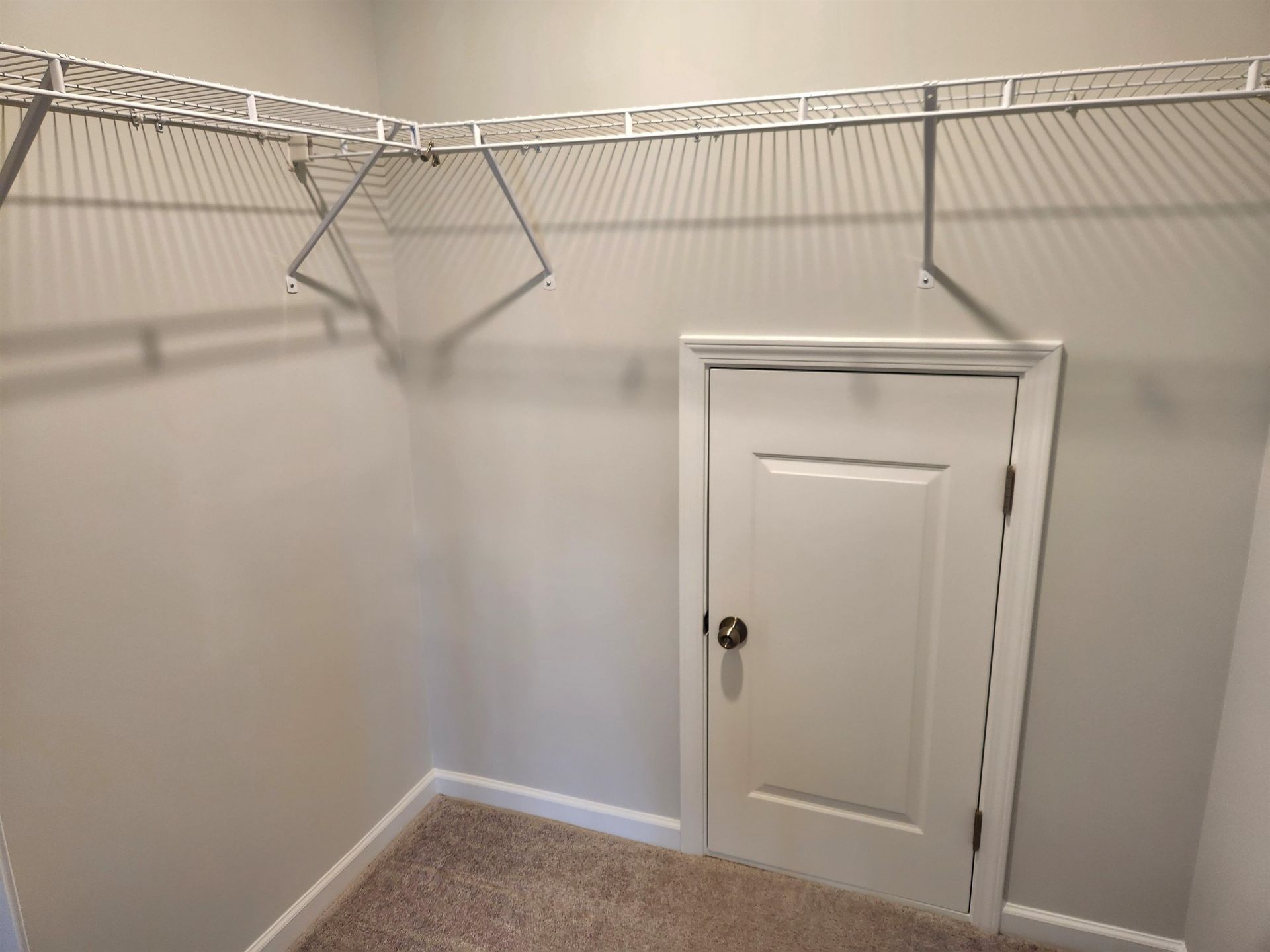 5788 Whitebark Dr. Photo 70