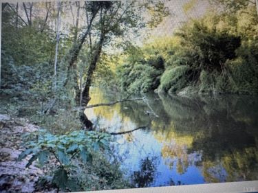 7 Atlantic Timber Lane, Gretna, VA 24557