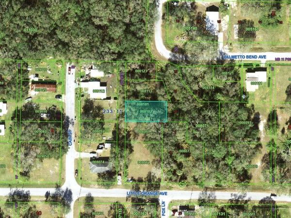 LITTLE ORANGE AVENUE, MULBERRY, FL 33860