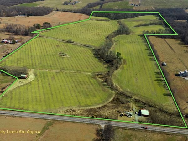 1902 Kinneys Rd, Adams, TN 37010