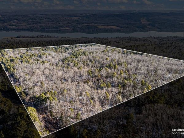 40 Acre , Delaware, AR 72835