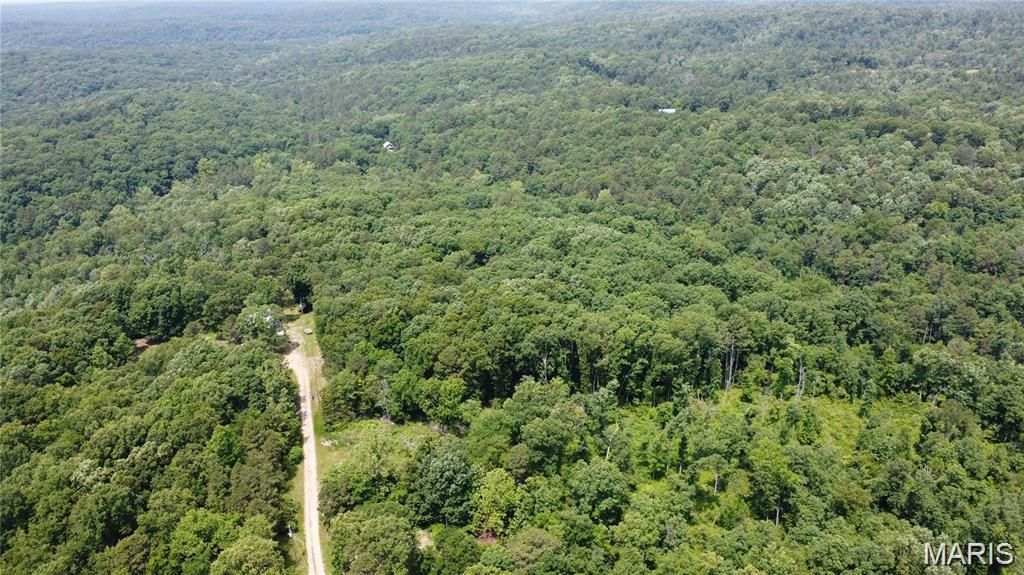 10282 Annette Avenue, Potosi, MO 63664 Main Photo