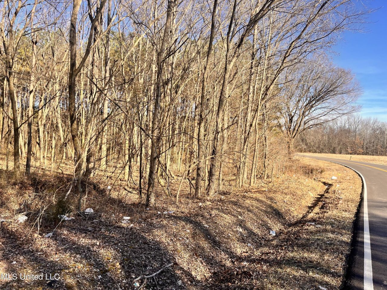 0 Moore Road, Red Banks, MS 38661 Main Photo