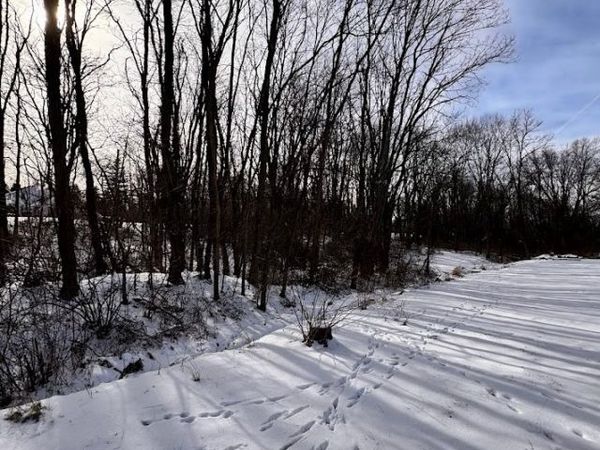 V/L Hartman Road, Wadsworth, OH 44281