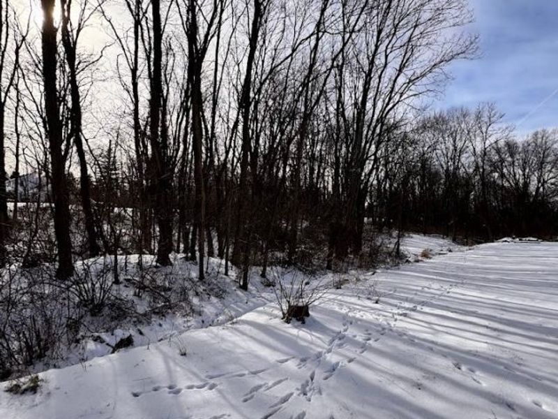 V/L Hartman Road, Wadsworth, OH 44281 Photo 1