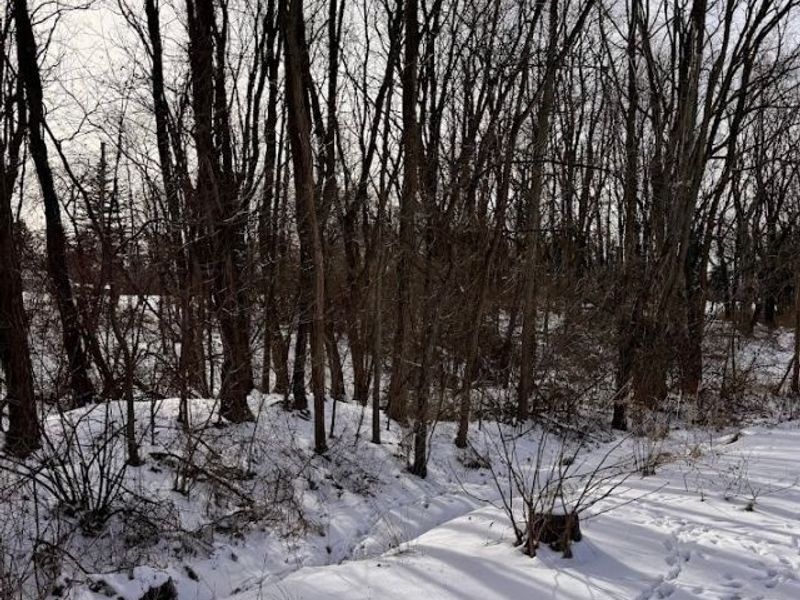 V/L Hartman Road, Wadsworth, OH 44281 Photo 3