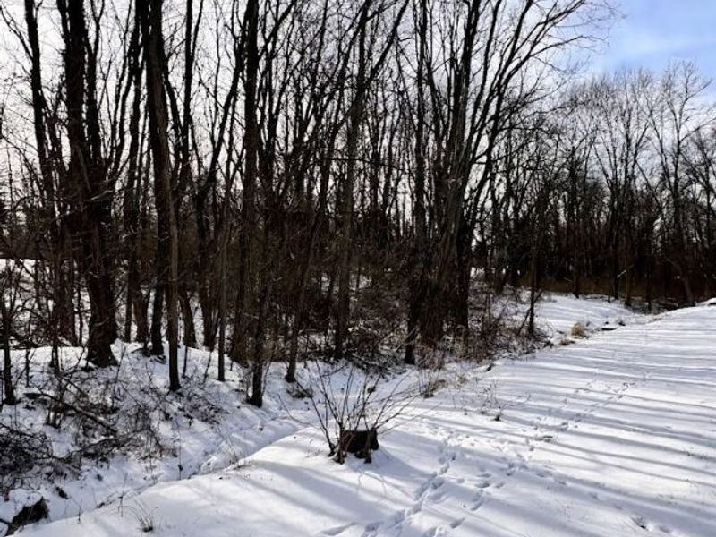 V/L Hartman Road, Wadsworth, OH 44281 Photo 3