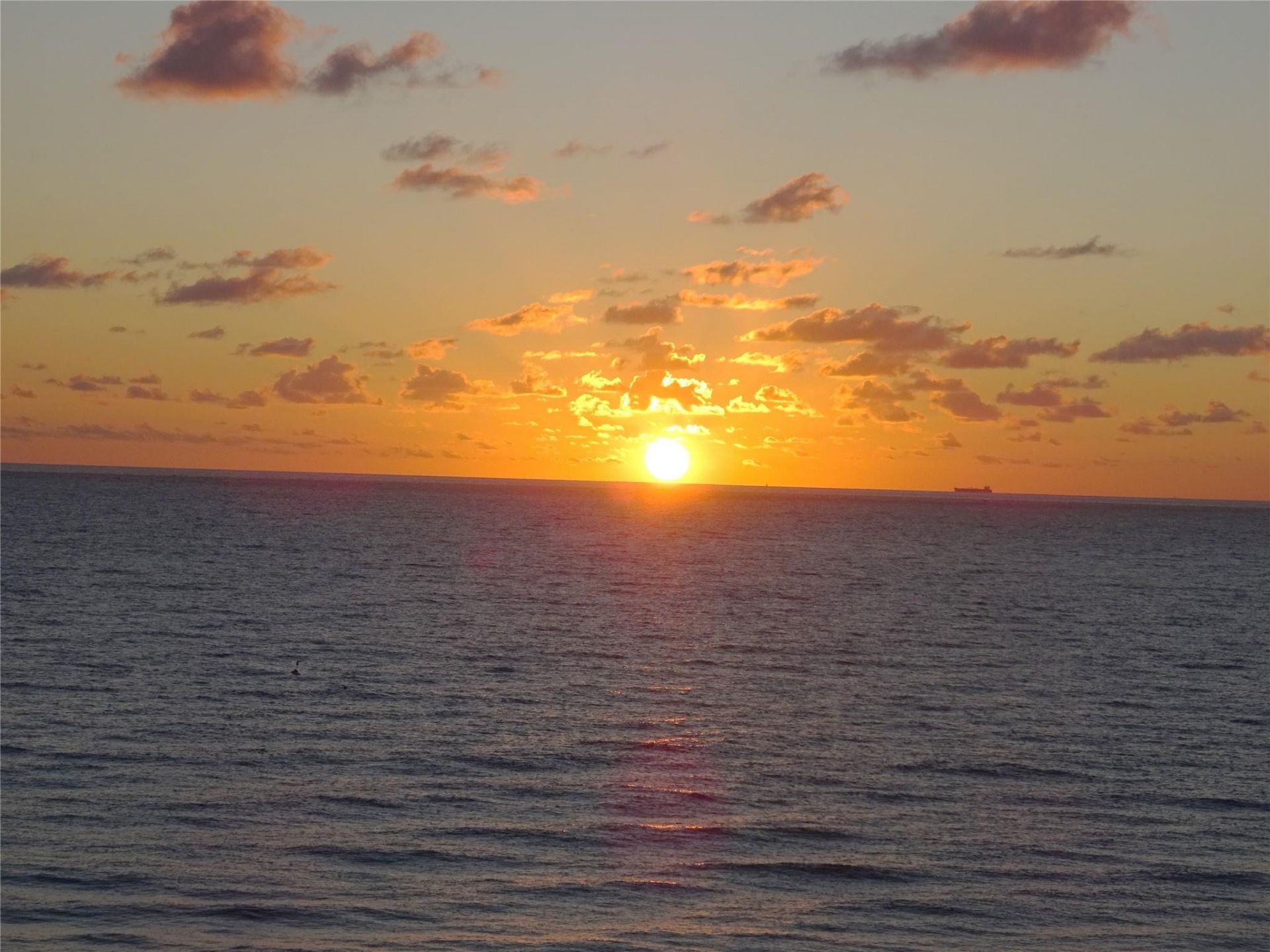 8 Briny Avenue, Unit 105, Pompano Beach, FL 33062 Photo