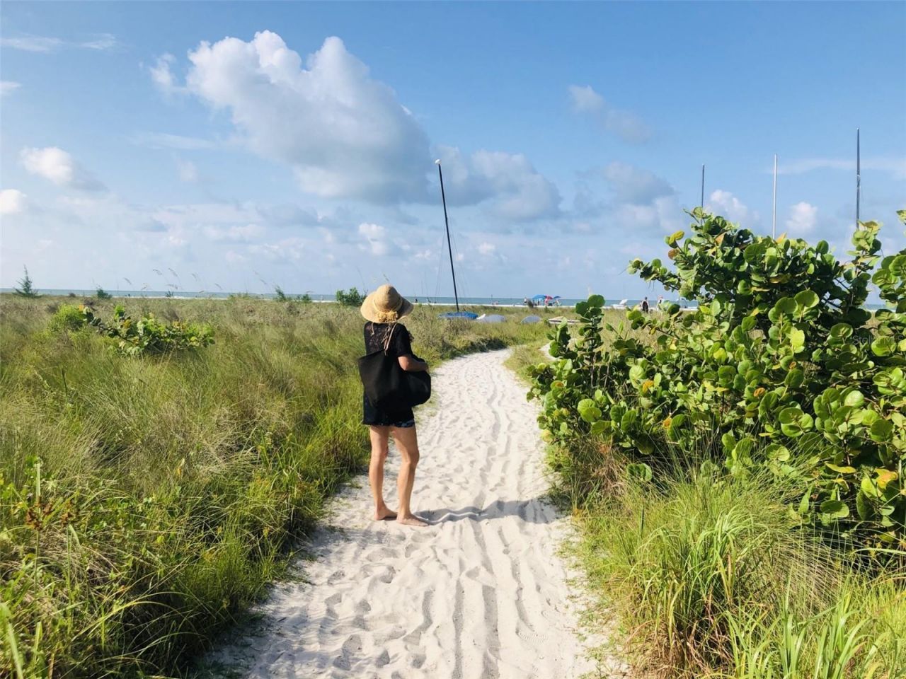 450 Beach Road, Unit 3, Sarasota, FL 34242 Photo