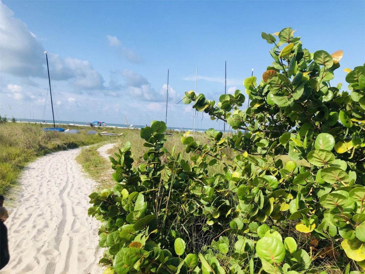 450 Beach Road, Unit 3, Sarasota, FL 34242 Photo