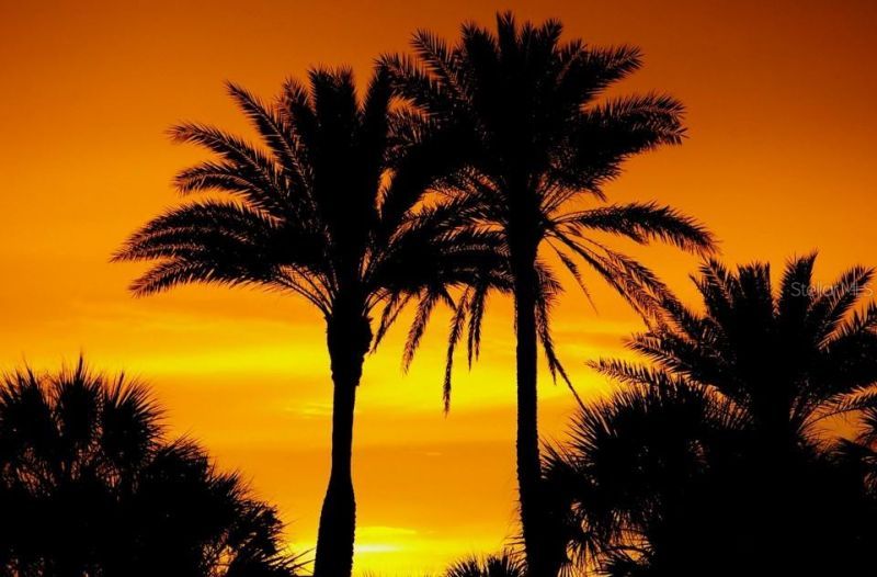 450 Beach Road, Unit 3, Sarasota, FL 34242 Photo