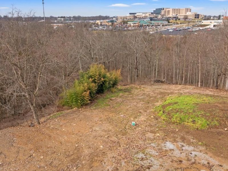 2987 Ambrosia Lot 2 Way, Edgewood, KY 41017 Photo 13