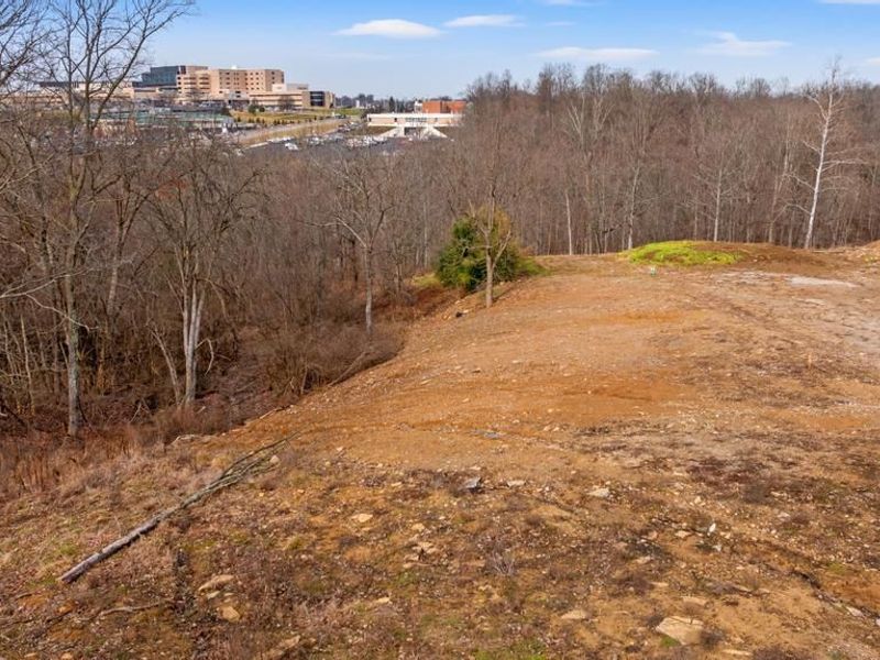 2987 Ambrosia Lot 2 Way, Edgewood, KY 41017 Photo 14
