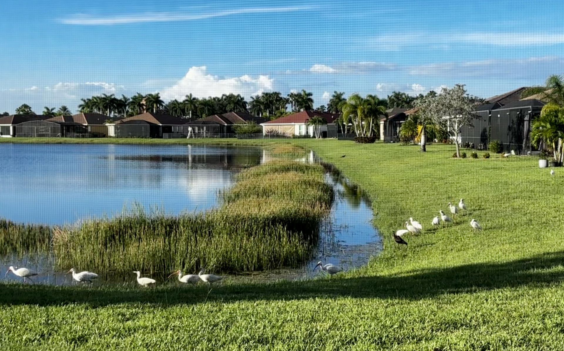 10288 SW Yellowwood Avenue, Port Saint Lucie, FL 34987 Photo