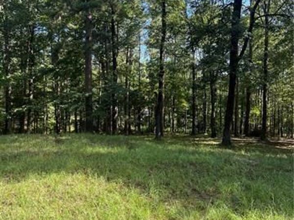 1009 EAST NANTACHIE Drive, Montgomery, LA 71454