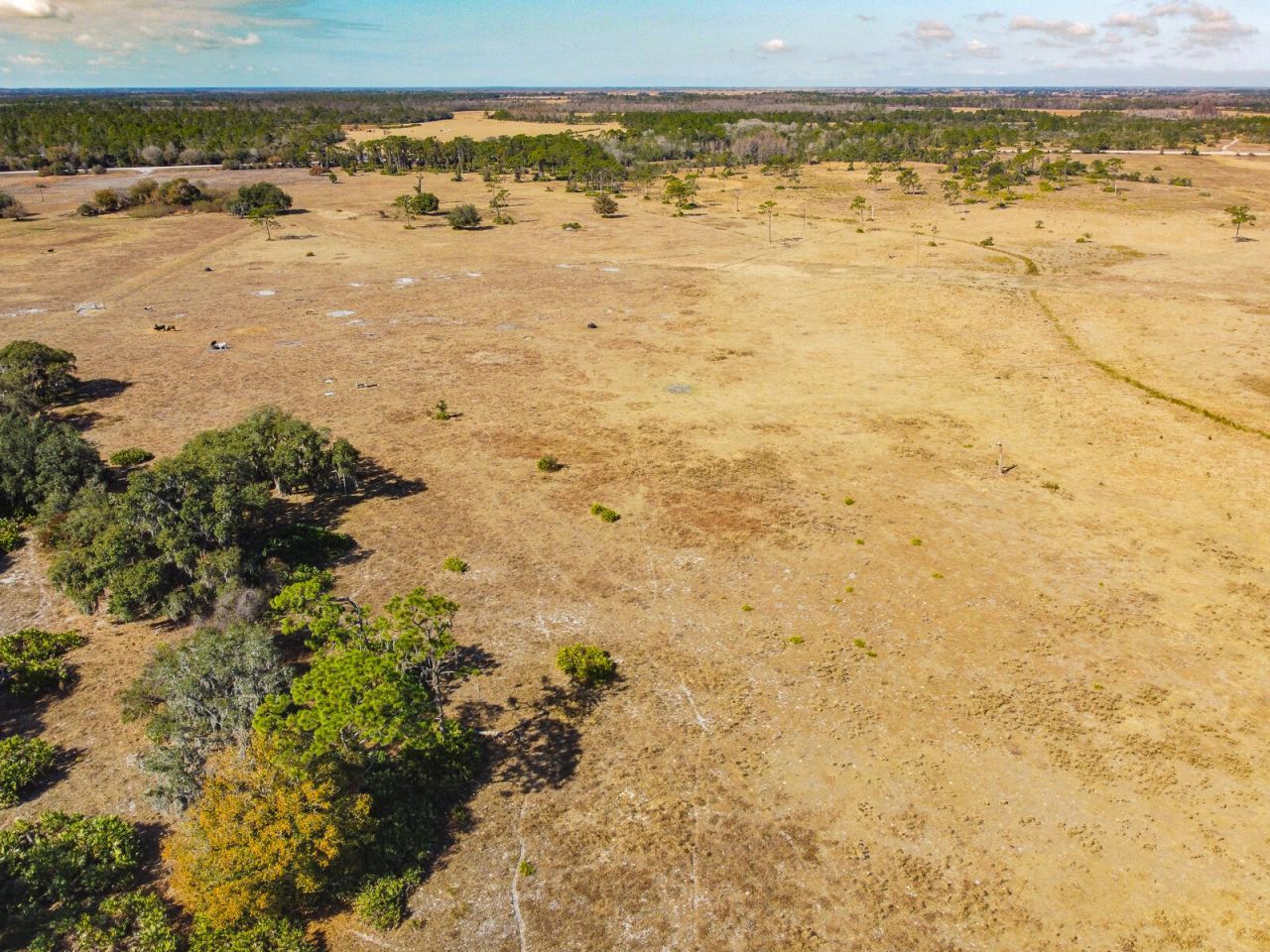 5151 S Kenansville Road, Okeechobee, FL 34972 Photo