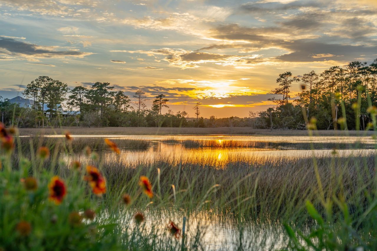 721 Hartey Street Photo 14