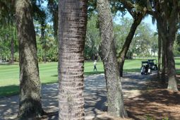 258 Driftwood Lane photo 4