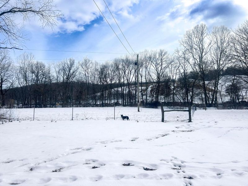 18474 Frampton Road, Frazeysburg, OH 43822 Photo 19