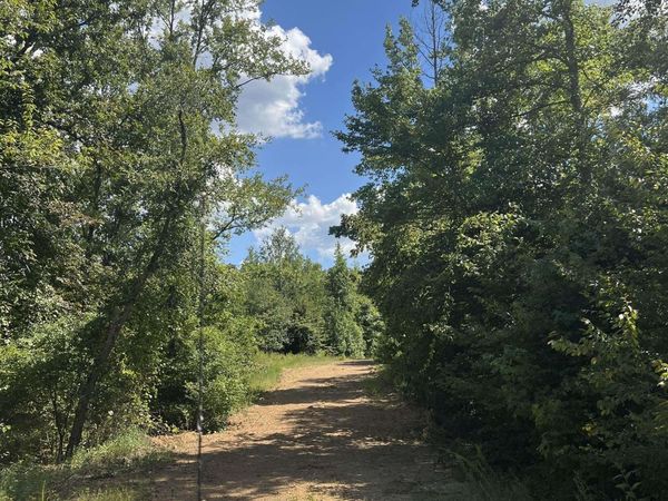 xx JOHN ASHLEY, Amity, AR 71921