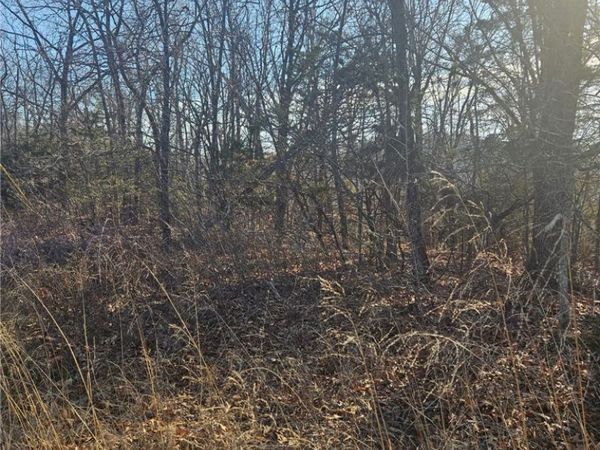 Poley Trail, Omaha, AR 72662