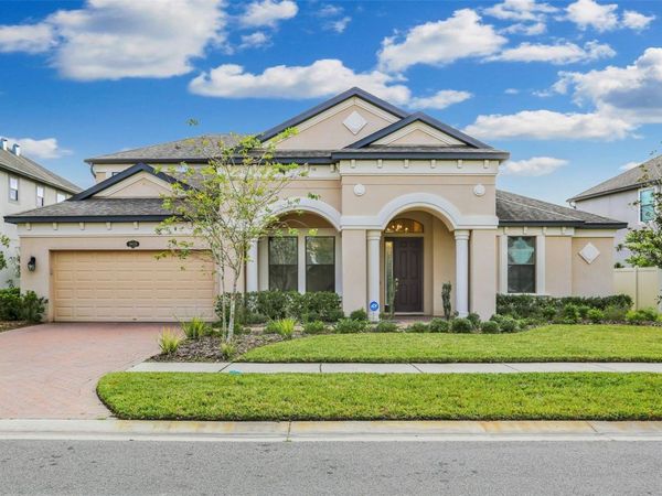 19426 WHISPERING BROOK DRIVE, TAMPA, FL 33647