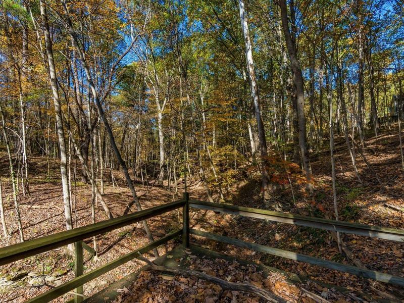 3596 Goose Lane, Granville, OH 43023 Photo 14