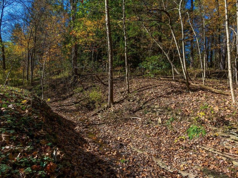 3596 Goose Lane, Granville, OH 43023 Photo 15