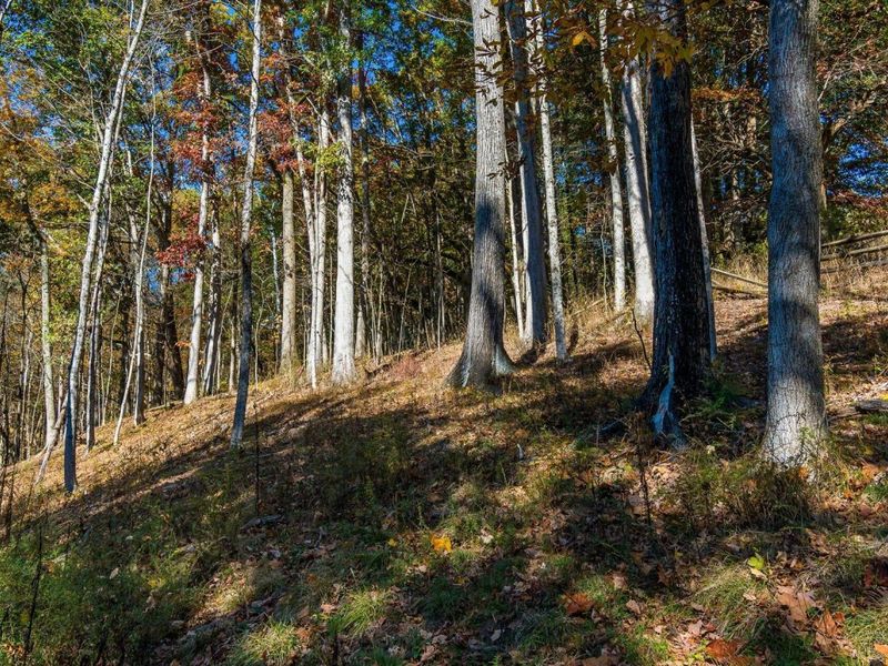 3596 Goose Lane, Granville, OH 43023 Photo 16