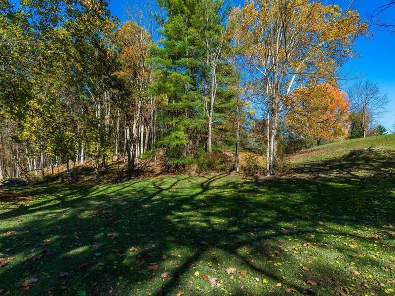 3596 Goose Lane, Granville, OH 43023 Photo 17