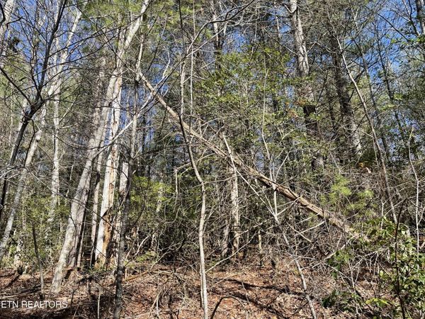 24 Chipman Court, Unit 141, Crossville, TN 38558