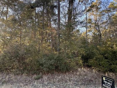 Petigru Dr., Pawleys Island, SC 29585