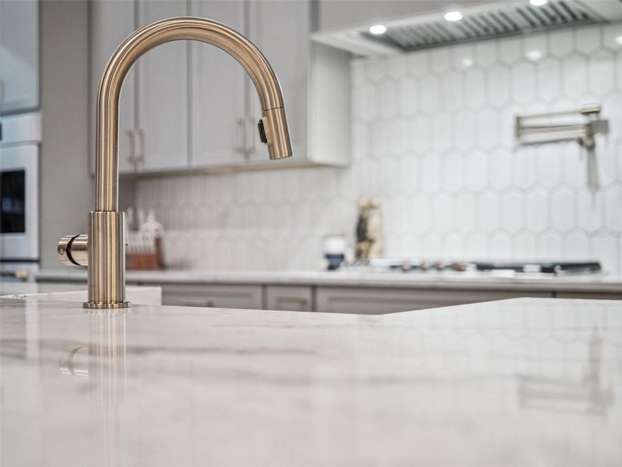 16922 Apopka Springs Boulevard, Montverde, FL 34756 Photo