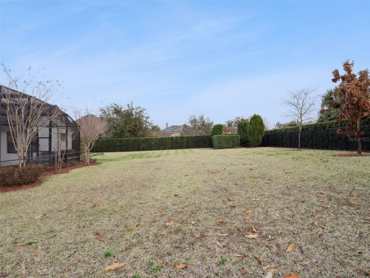 16922 Apopka Springs Boulevard, Montverde, FL 34756 Photo