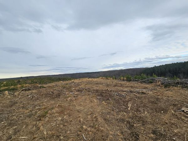 0B Waynesboro HWY , Waynesboro, TN 38485