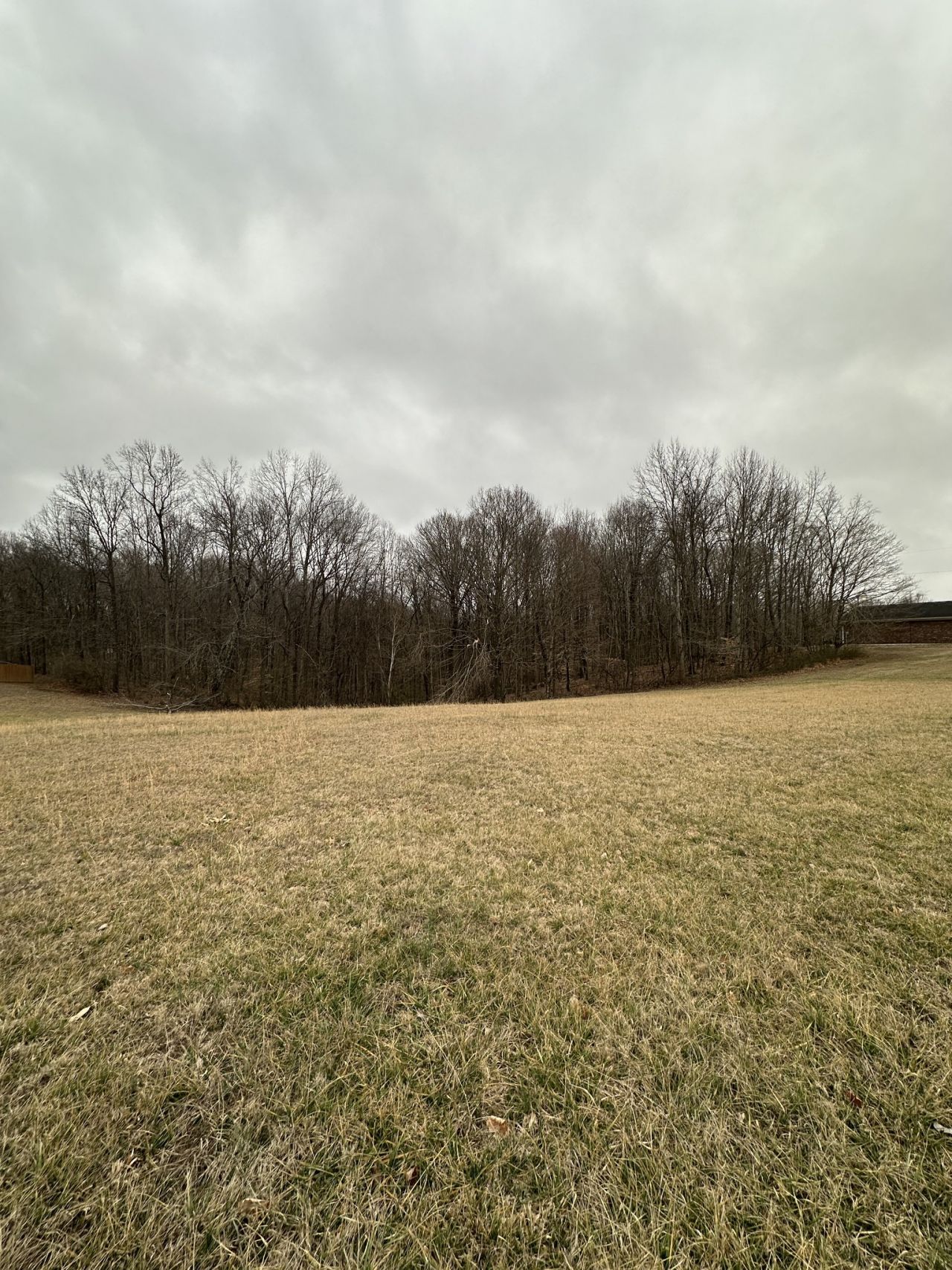 3694 Forte Rd, Joelton, TN 37080 Main Photo