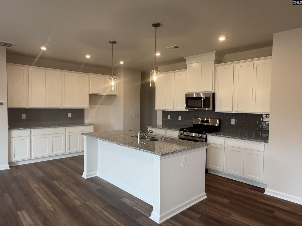 578 Swamp Grass Drive  Photo 9