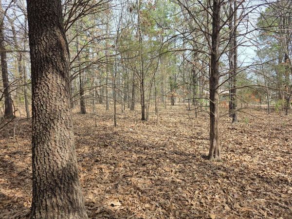 Pottawattamie Dr, Cherokee Village, AR 72529