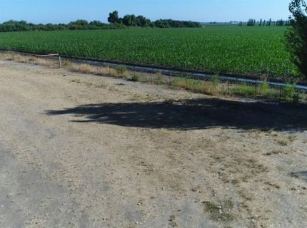 River Rd, Courtland, CA 95615 Photo