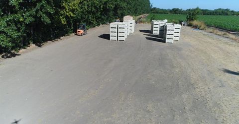 River Rd, Courtland, CA 95615 Photo