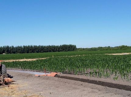River Rd, Courtland, CA 95615 Photo