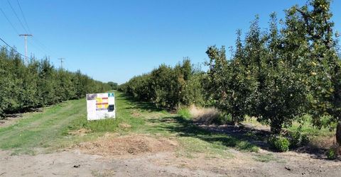 River Rd, Courtland, CA 95615 Photo
