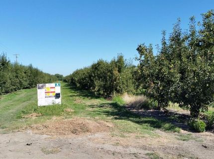 River Rd, Courtland, CA 95615 Photo