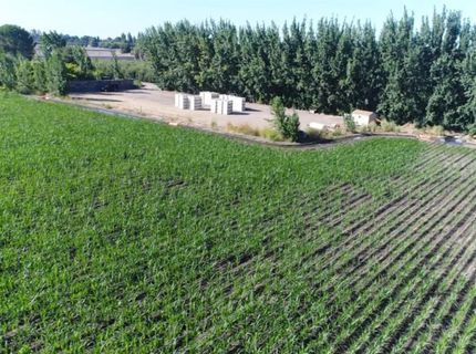 River Rd, Courtland, CA 95615 Photo