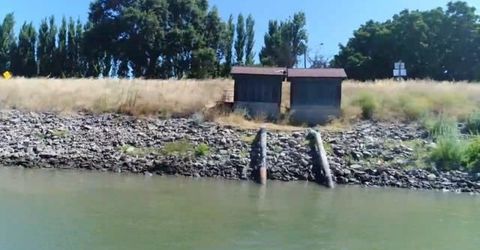 River Rd, Courtland, CA 95615 Photo