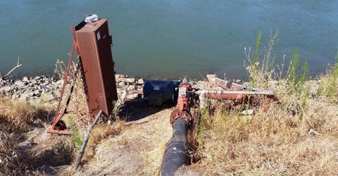 River Rd, Courtland, CA 95615 Photo