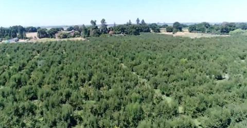 River Rd, Courtland, CA 95615 Photo