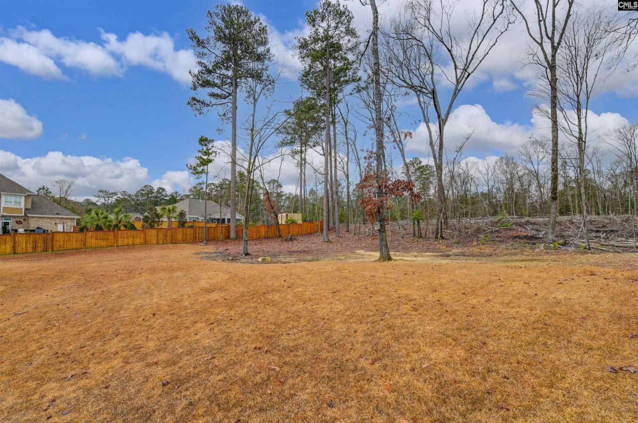 175 Autumn Drive Photo 34